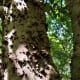west-11th-street-park-in-houston-wilderness-in-the-city
