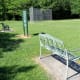 west-11th-street-park-in-houston-wilderness-in-the-city