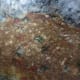 muttai-kothu-parotta-a-road-side-food-of-chennai