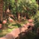 Flamingos you will meet while staying at the hotel.