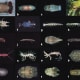 a, Bathynomus sp. b, Natotolana woodjonesi. c, Cirolana sp. Aegidae: d, Creniola laticauda on sea dragon. Gnathiidae: e, f, Elaphognathia ferox (male and female). Anthuridae: g, Mesanthura astelia. Paranthuridae: h, Paranthura sp. Limnoriiidae: i, Li