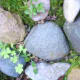 collection of rocks