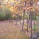 a-moss-garden