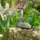 a-moss-garden