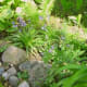 rock boarder & wildflowers