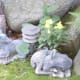 a-moss-garden