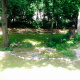 a-moss-garden