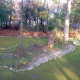 a-moss-garden