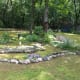 a-moss-garden