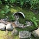 a-moss-garden
