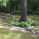 a-moss-garden