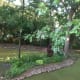 a-moss-garden