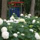 a-moss-garden