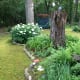 a-moss-garden