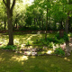 a-moss-garden
