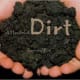 A Handful of Dirt by Raymond Bial