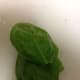 Basil Leaves
