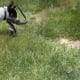 how-i-get-rid-of-snakes-from-my-house-and-yard