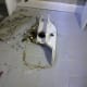 how-not-to-install-a-low-flow-toilet