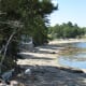 Shore next to the Lobster Shack