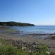 View of Hulls Cove, low tide.