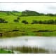 Parker Ranch Pasture - Yes we've noticed the resemblance to Ireland