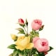 Vintage yellow and pink roses clip art
