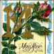 Moss rose vintage flower card