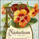 Nasturtium vintage flower card