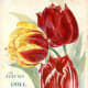 D.M. Ferry & Co. vintage seed packet clip art -- 1894