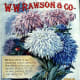 W.W. Rawson & Co. antique seed packet artwork -- 1899