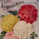 Alneer Bros. vintage seed packet clip art -- 1916