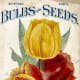 D.M. Ferry & Co. antique seed packet clip art -- 1894