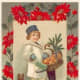 Little boy with poinsettias