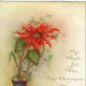 Vase with poinsettias