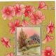 House and pink flowers