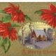 Poinsettias and snow scene