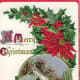 Snow scene with poinsettias