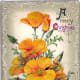 Yellow poppies vintage Christmas card