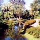 photos-of-the-beautiful-cypress-gardens-in-florida