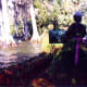 Topiary of lady artist working on a canvas * Photo by Peggy W