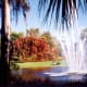 photos-of-the-beautiful-cypress-gardens-in-florida