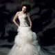 Dropped waistline, off the shoulder, semi full tulle skirt, chapel length train.