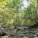 The creek at the crossing near trail 5 (Wolf Cave)