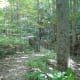 mccormicks-creek-state-park