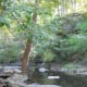 mccormicks-creek-state-park