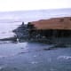 One of five uplifted terraces on the Middleton island, and a surf-cut rock platform exposed between the base of the sea cliff and the new high tide level.