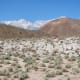 This fault scarp formed in the 1872 Owens Valley earthquake- Photo courtesy Ron Schott of Flickr under Creative Commons license