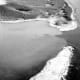 Wave damage on the south shore of Lituya Bay