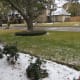 Looking out across the street from our front entrance.